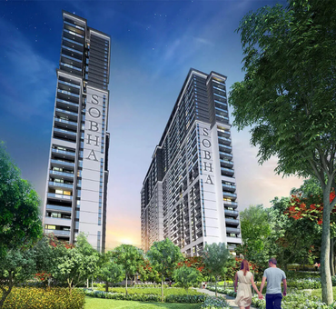 Cover 7: Creek Vistas